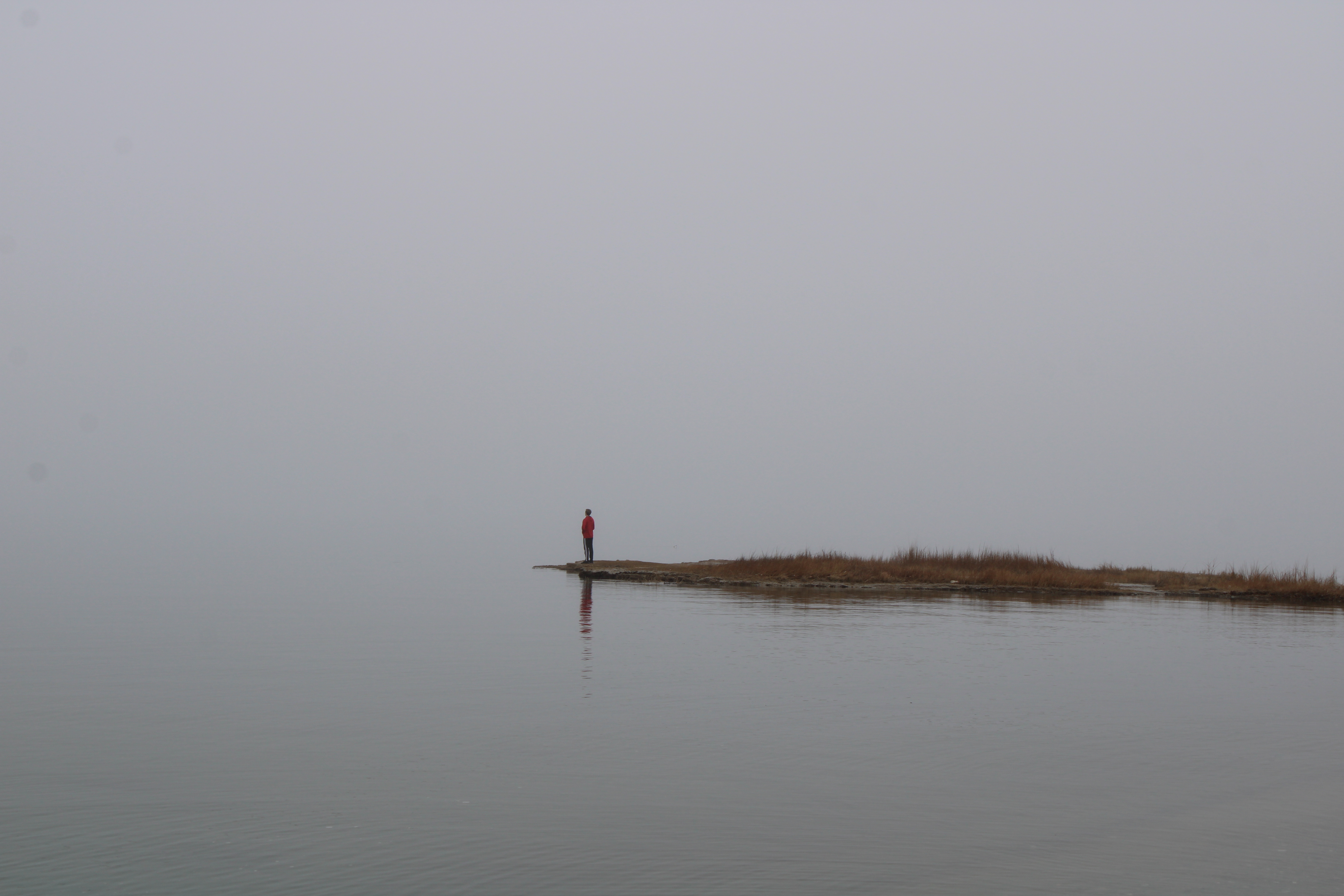 A man stands gazing into foggy water